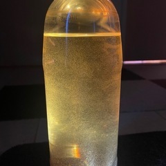 ゾウリムシ500ml