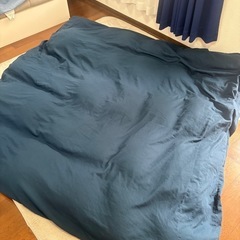 【4/27-28お引き取り】ニトリ　N-sleep  エヌスリープ　掛け布団　羽毛クイーンサイズの画像
