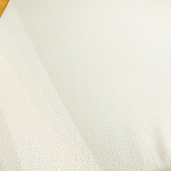 <値下げ>ニトリ　高反発ベッドトッパー(ダブル)の画像