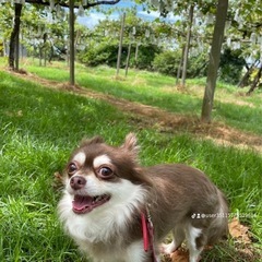 ピシャッと解決‼️