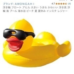 アヒルの浮き輪の画像