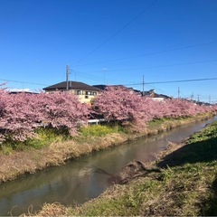 ⭐︎バイク仲間を募集します⭐︎