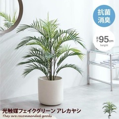 アレカヤシ 約95cm インテリア植物　インテリアグリーン