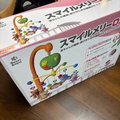 ［箱有り］メリーの画像