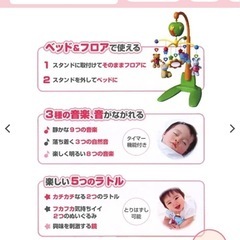 ［箱有り］メリーの画像