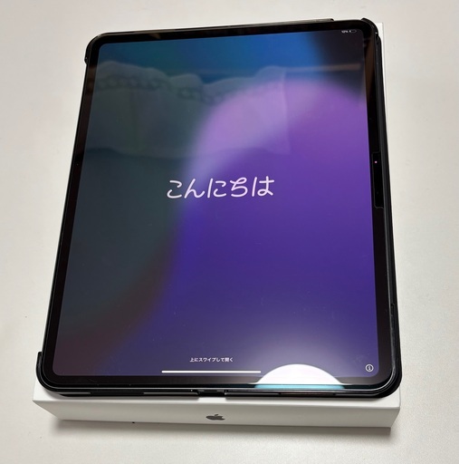 iPad Pro M4 256GB 13inch Wi-Fiモデル（付属品完備） (マック