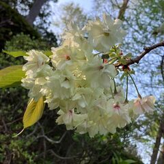 なんでも話せる友達が欲しいだけ✨