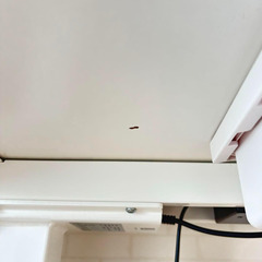 【直接引き取り限定】スタンディングデスク FlexiSpot E7 天板140*70cm ホワイト（解体済みではありません）の画像