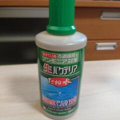 生バクテリア　たね水