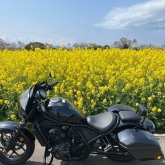 レブル1100Tの画像