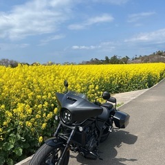 レブル1100Tの画像