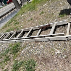 伸縮はしご 脚立の画像