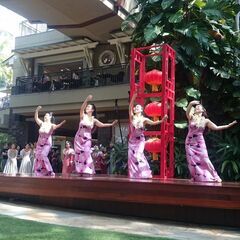 無料体験レッスン実施中！！！Wainani Hula Studio 市川の画像