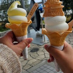 ランチ・カフェ行ける方