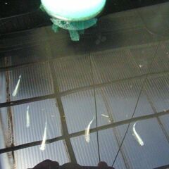 めだか-チカチカミユキの画像