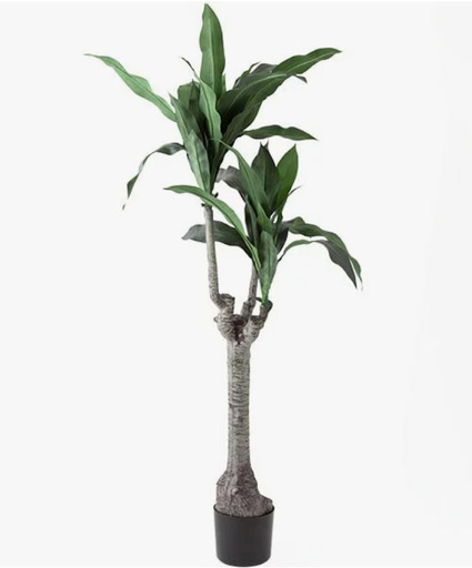 新品未使用】ニトリ フェイクグリーン ドラセラ 135㎝ 観葉植物