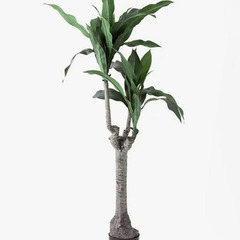 【ニトリ】観葉植物ドラセナのフェイクグリーン／プランターカバー（...