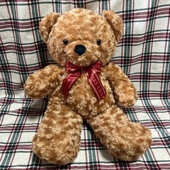 他の出品物を購入してくださった方は0円！！