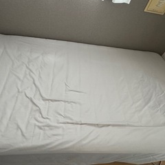 ニトリシングルマットリス