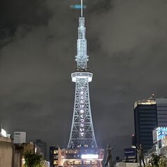 旅行ガイドを募集する。