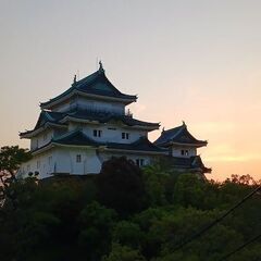 一緒に和歌山城に行きましょう！