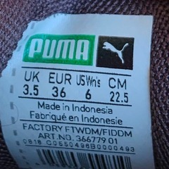 PUMA リボン付きスニーカー 22.5cm ブラウン キッズ  スニーカーの画像