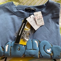 新品未使用☆アクセサリー付きTシャツの画像