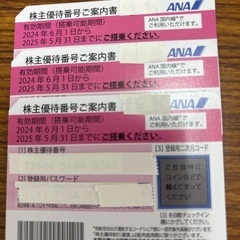 ANA  株主優待券