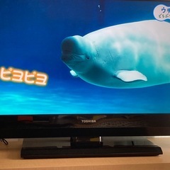 液晶テレビ（東芝REGZA）