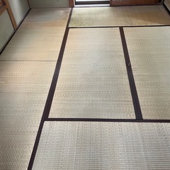 畳を6畳分貰って下さい
の画像
