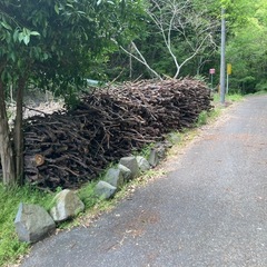 薪ストーブにどうですか？