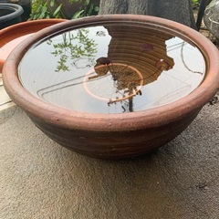 ⑥メダカ飼育セット