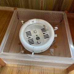 電気　