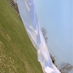 よさこいアルミポール5mの画像