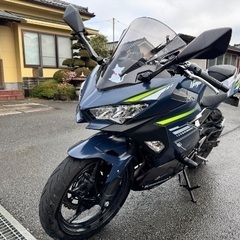 傷あり・未使用 KAWASAKI NINJA 400用スモークスクリーンの画像