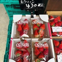 もういっこ在庫8パック出品します☆