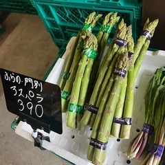 大好評☆富良野産・門別極太アスパラ入荷しました☆
