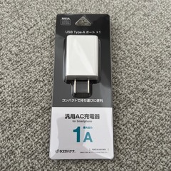 未使用　ラスタバナナ RastaBanana AC充電器 USB...