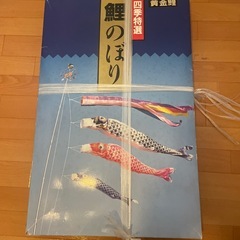 黄金鯉 鯉のぼり の画像