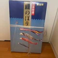 黄金鯉 鯉のぼり の画像