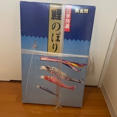 黄金鯉 鯉のぼり 