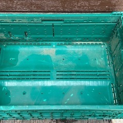 折りたたみコンテナの画像