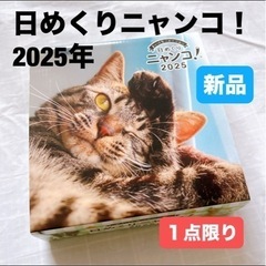 新品⭐️日めくりニャンコ！2025年(卓上日めくりカレンダー猫版...