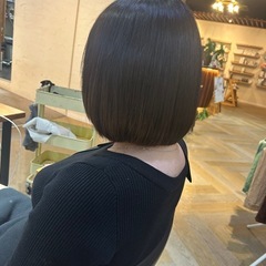 カットモデルさん大募集！！