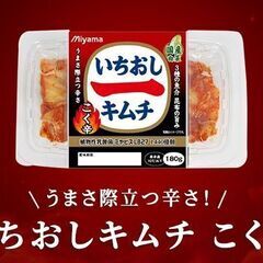 【キムチ食品の設備メンテナンス】未経験でも歓迎◎完全週休2日制／...