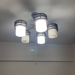 大光電機 LEDシャンデリア 5灯 ~8畳 DXL-81124の画像