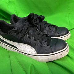 【PUMA】プーマスニーカー　品番　362946-02/25ｃｍの画像