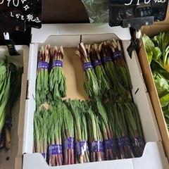 市場仕入れ品☆行者にんにく入荷しました！✨