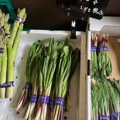 行者にんにく太めも入荷あります☆