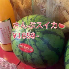 さんぶスイカ入荷しました☆